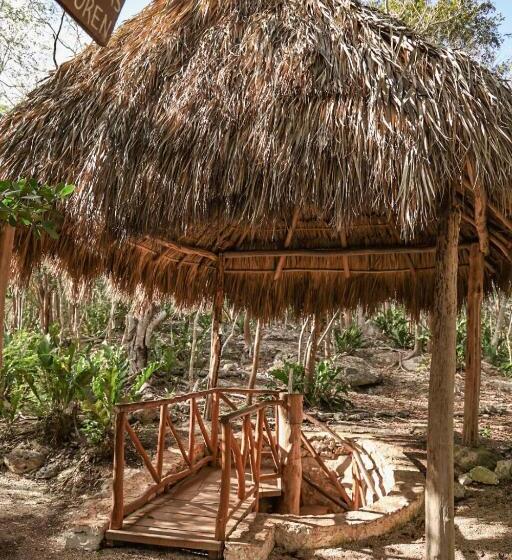 호텔 Cenote Secreto Maya