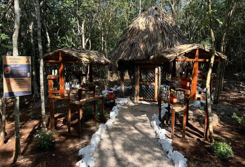 호텔 Cenote Secreto Maya