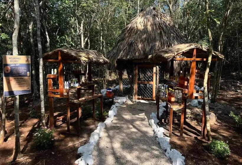 Hotelli Cenote Secreto Maya