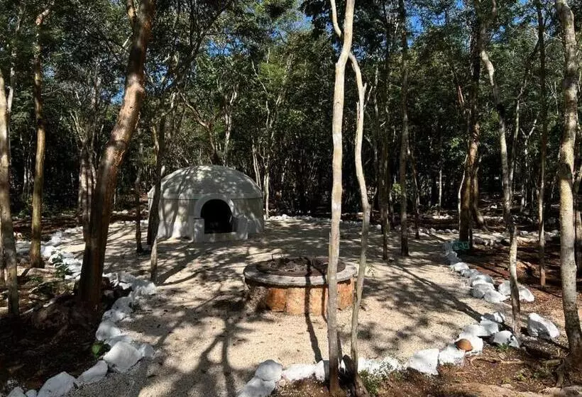 Hotelli Cenote Secreto Maya