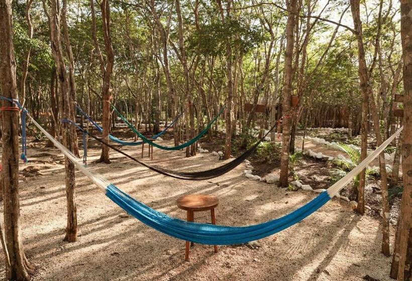 호텔 Cenote Secreto Maya