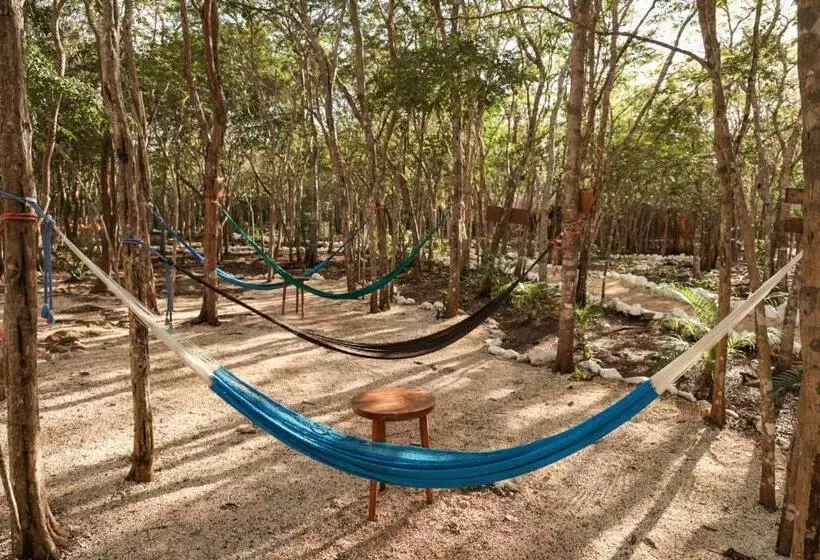 Hotelli Cenote Secreto Maya