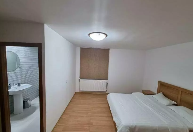ホテル Casa Voinea