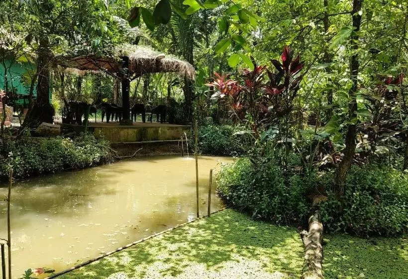 Hotelli Life Farms   Near Mopa Airport Goa