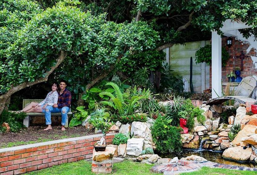 بنسيون Aha Guest House