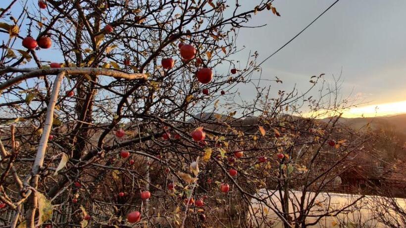 펜션 Casuta Bunicilor Isverna