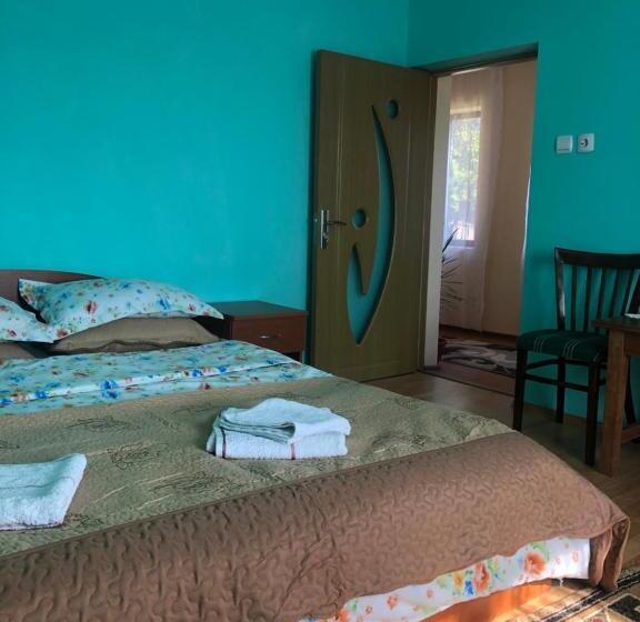 펜션 Casuta Bunicilor Isverna