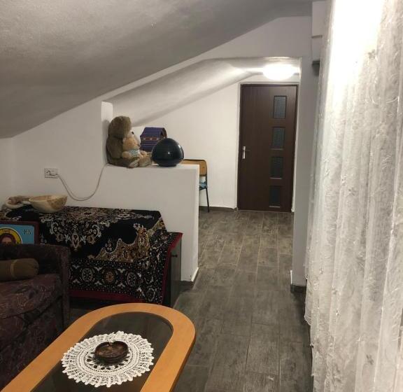 펜션 Casuta Bunicilor Isverna