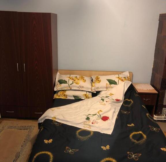 펜션 Casuta Bunicilor Isverna