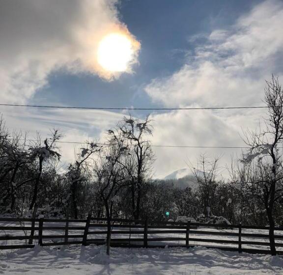 펜션 Casuta Bunicilor Isverna