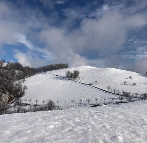 펜션 Casuta Bunicilor Isverna