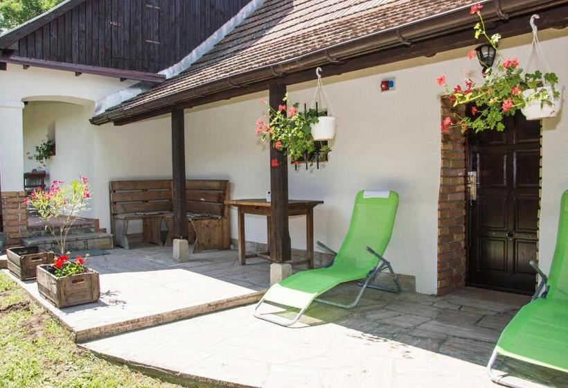 פנסיון Cicahegy Vendégház