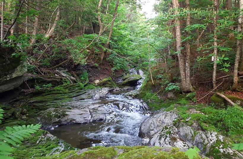 Пансион Le Loft Riverstone