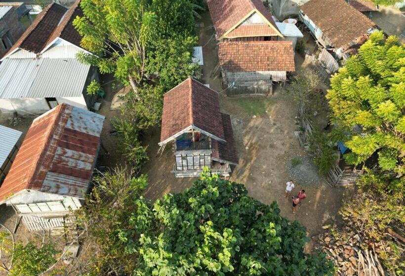 Panzió Sollo Sollo Homestay