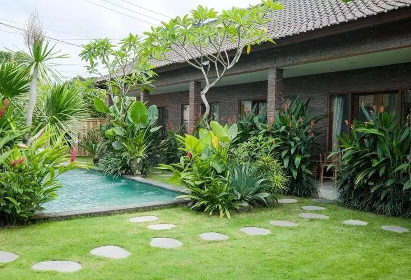Majatalo The Kumpi Bali By The Lavana
