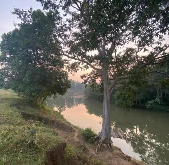 Sal Tree Resort By Vihasta, Kanha
