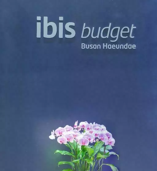 ホテル Ibis Budget Ambassador Busan Haeundae