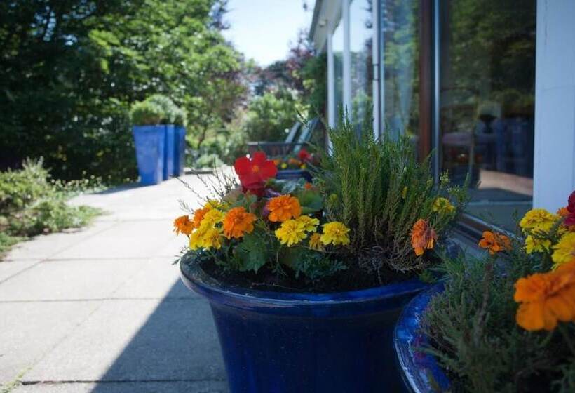 Отель Sunny Brae Bed & Breakfast