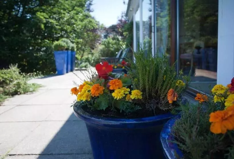 Отель Sunny Brae Bed & Breakfast