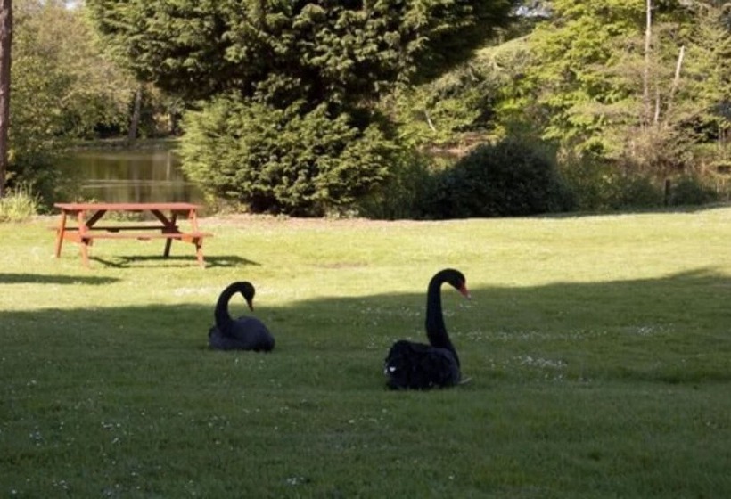 호텔 Worplesdon Place