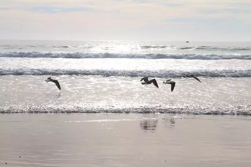 Lunja Village Agadir