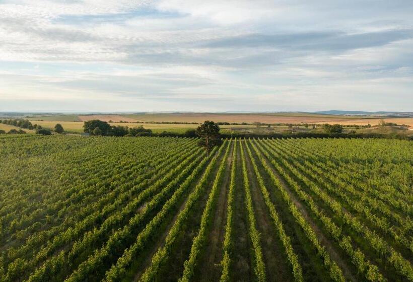 فندق Thaya Vinařství