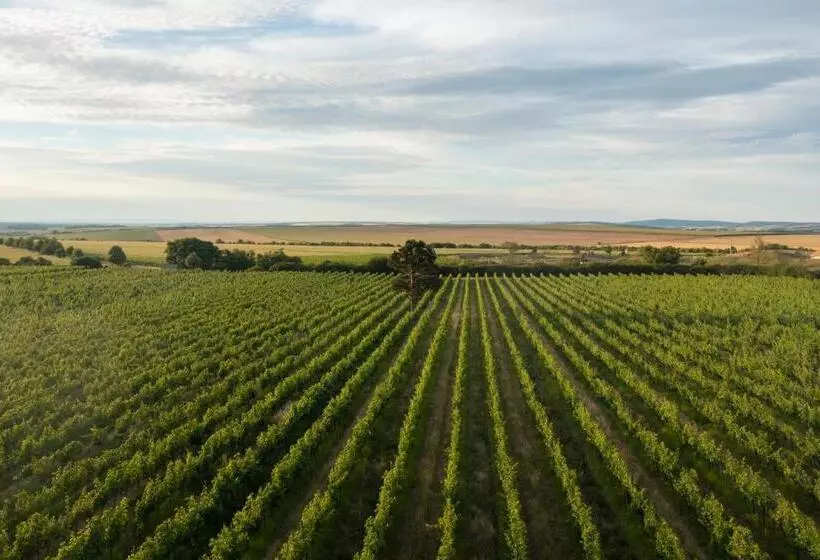 ホテル Thaya Vinařství