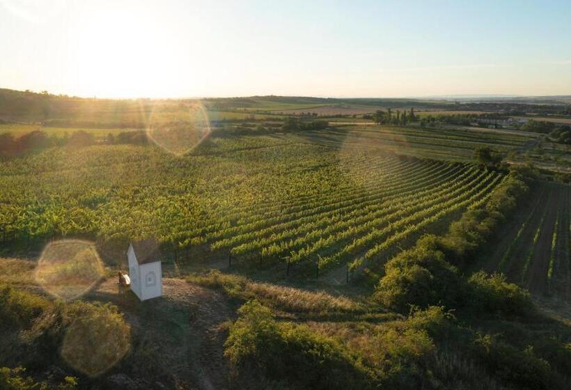 فندق Thaya Vinařství