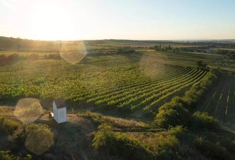 ホテル Thaya Vinařství