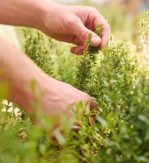 ホテル Thaya Vinařství