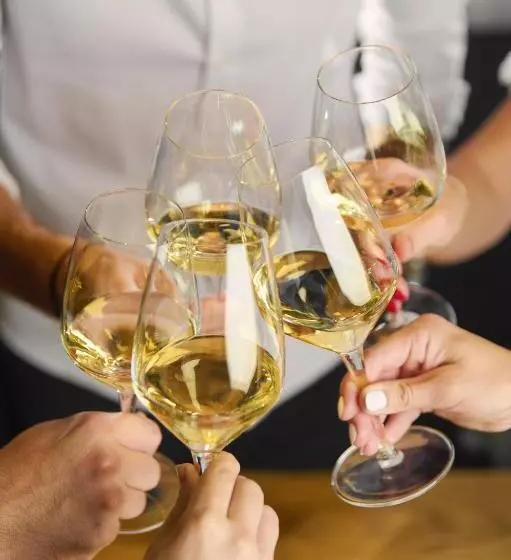 ホテル Thaya Vinařství