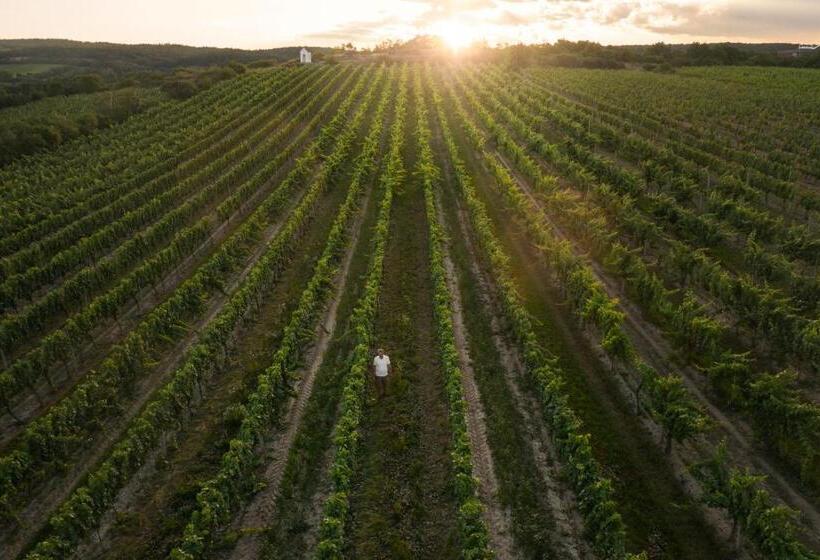 فندق Thaya Vinařství