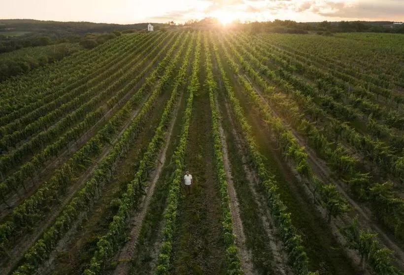 ホテル Thaya Vinařství