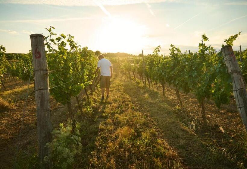 فندق Thaya Vinařství