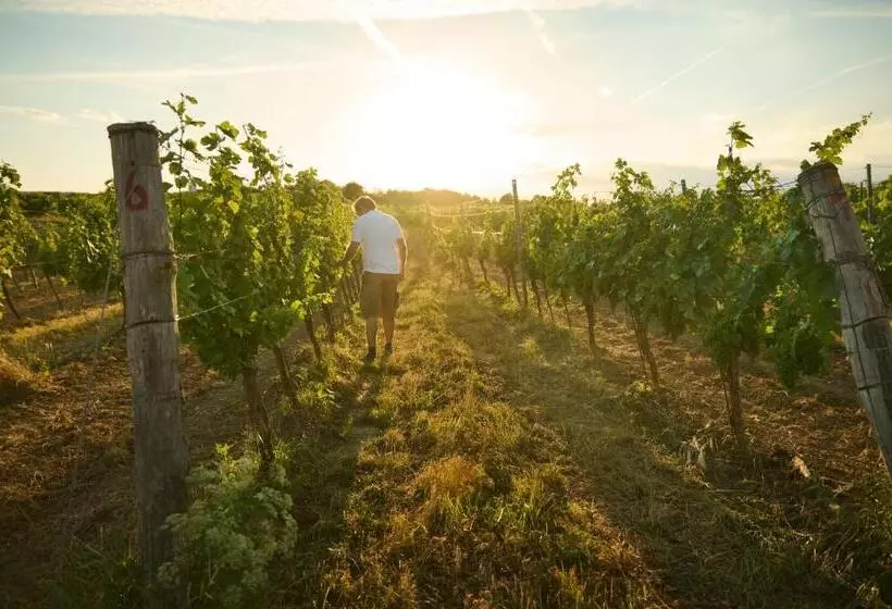 ホテル Thaya Vinařství