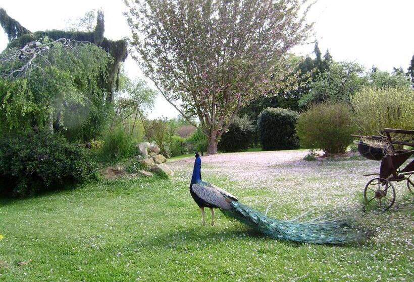 צימר La Ferme Du Bourg