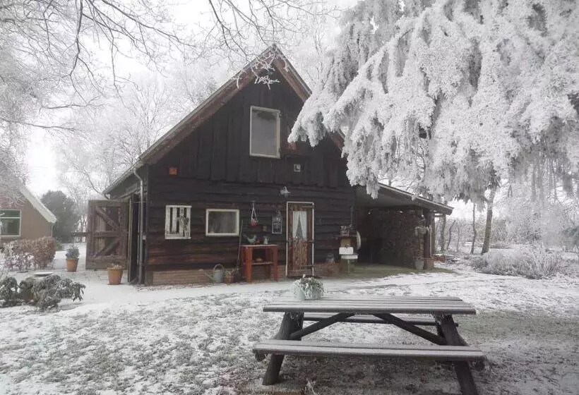 Aamiaismajoitus (B&B) Mekelermeer