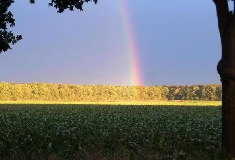 Aamiaismajoitus (B&B) Mekelermeer