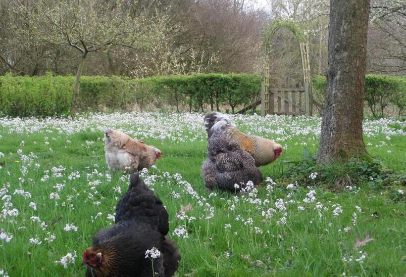 צימר Mekelermeer