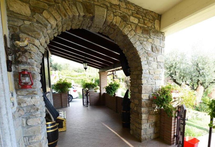 Отель Domus Ansantica