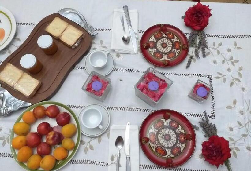 Отель Domus Ansantica