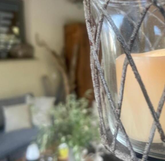 פנסיון L Alivetu, Chambres D Hôtes