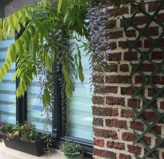 膳宿费 La Suite D Arras