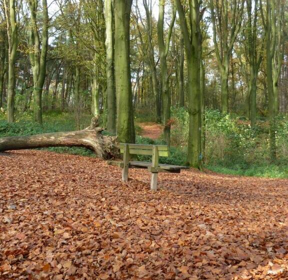 Entre Monts Et Collines B&b Et Spa En Option