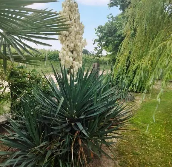 Aamiaismajoitus (B&B) Antico Borgo Leone