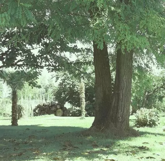 Aamiaismajoitus (B&B) Antico Borgo Leone