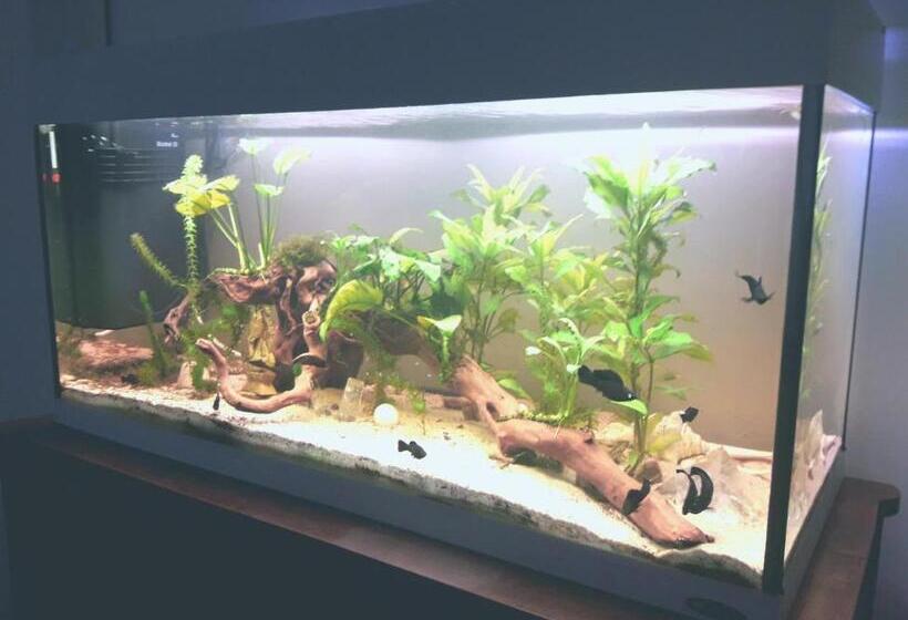 민박 Antico Borgo Leone