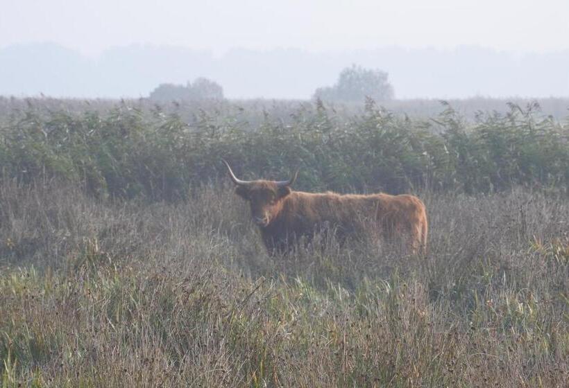 צימר Bed En Breakfast De Houtwiel