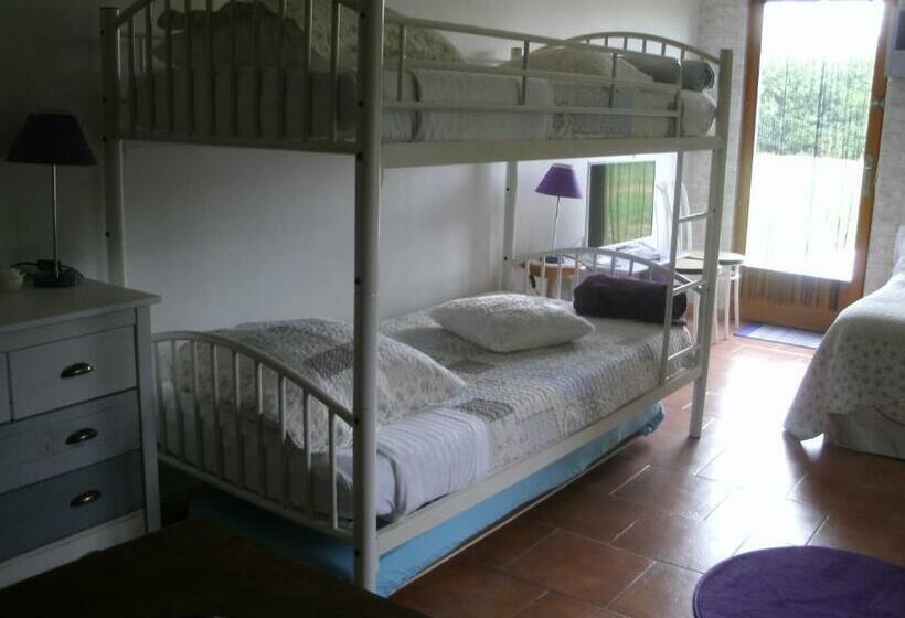 Bed and Breakfast Chambres D Hotes Du Moulin