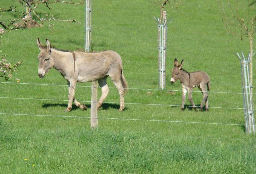Bed & Breakfast Gîte De La Cour